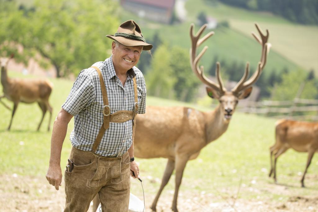 Hotel Muhr Pöllauberg Zewnętrze zdjęcie