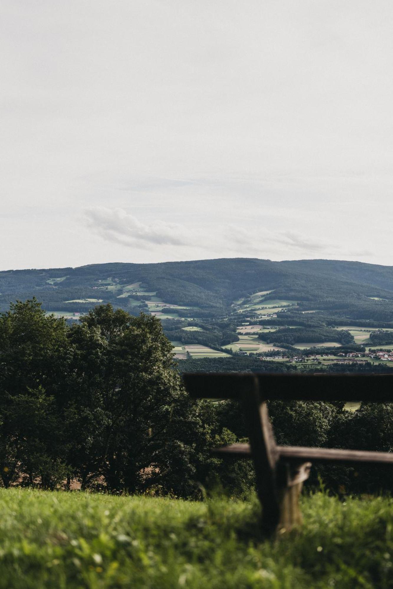 Hotel Muhr Pöllauberg Zewnętrze zdjęcie