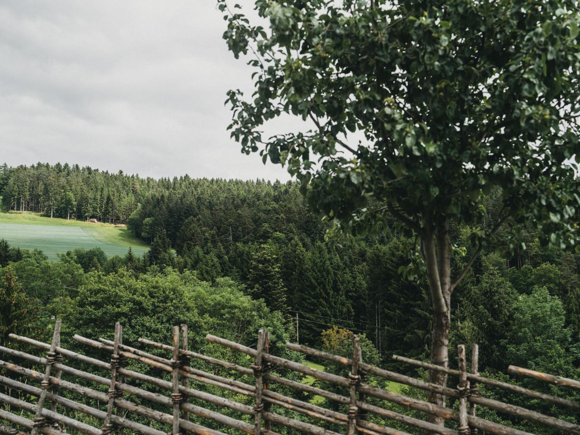 Hotel Muhr Pöllauberg Zewnętrze zdjęcie